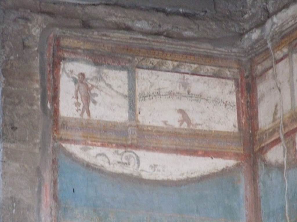 VII.4.48 Pompeii. December 2007. Room 11. Detail from South wall of Tablinum.