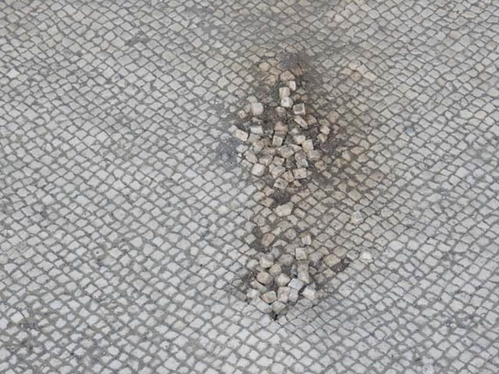 VII.4.48 Pompeii. May 2015. Room 11, detail of “wear and tear” of mosaic floor in tablinum. Photo courtesy of Buzz Ferebee.