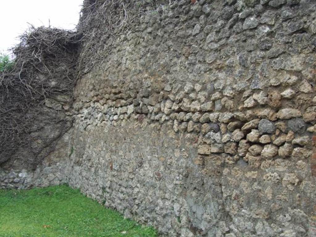 VII.4.55 Pompeii. March 2009. West wall, with site of stairs to upper floor.