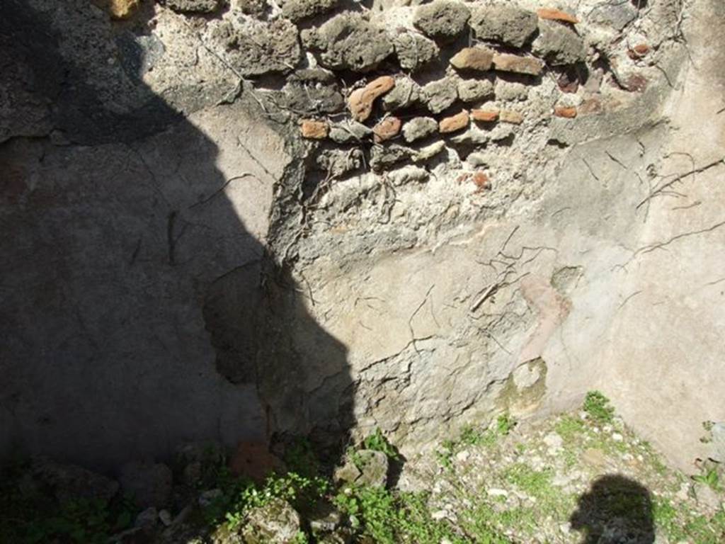 VII.4.56 Pompeii. March 2009. Room 6. North wall.