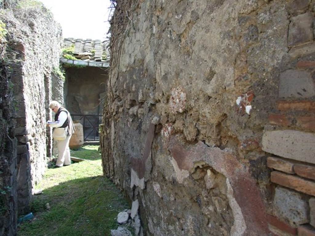VII.4.56 Pompeii. March 2009. West wall of Corridor leading to rear.