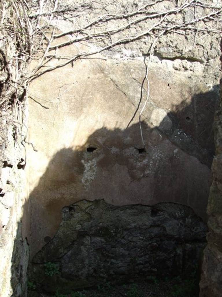 VII.4.56 Pompeii. March 2009. Room 8. Cupboard under stairs. East wall.