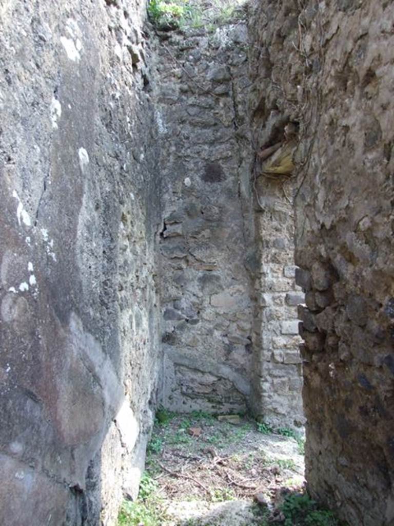VII.4.56 Pompeii. March 2009. Room 8. Looking South to entrance from North Portico for staircase.