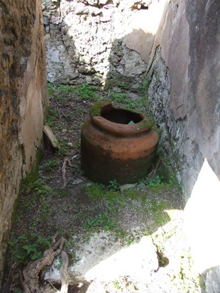 VII.4.56 Pompeii. March 2009. Room 8. Staircase, looking north to cupboard entrance under stairs.