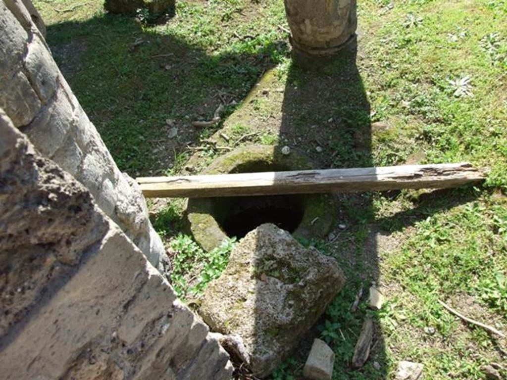 VII.4.56 Pompeii. March 2009. Cistern opening in North Portico.