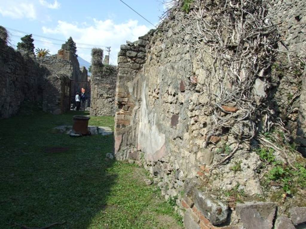 VII.4.56 Pompeii. March 2009. Room 9, Tablinum. East wall.