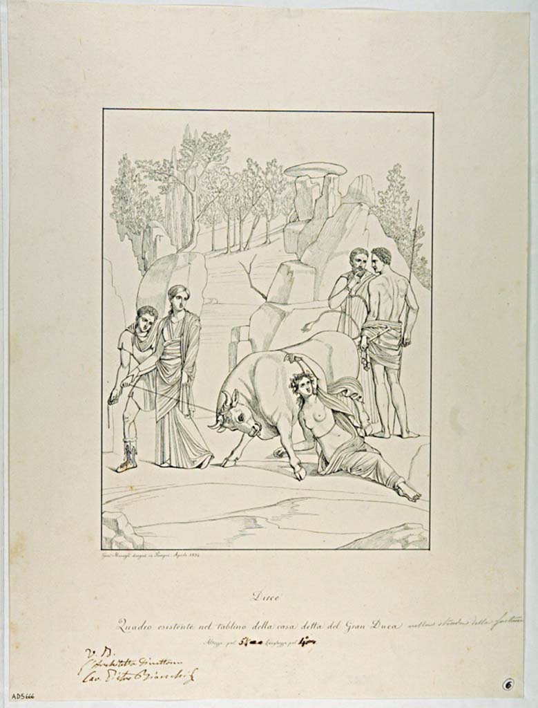 VII.4.56 Pompeii. Drawing by Giuseppe Marsigli, April 1834, of the Punishment of Dirce, from east wall of tablinum.
Now in Naples Archaeological Museum. Inventory number ADS 666.
Photo © ICCD. http://www.catalogo.beniculturali.it
Utilizzabili alle condizioni della licenza Attribuzione - Non commerciale - Condividi allo stesso modo 2.5 Italia (CC BY-NC-SA 2.5 IT)
See Helbig, W., 1868. Wandgemälde der vom Vesuv verschütteten Städte Campaniens. Leipzig: Breitkopf und Härtel. (1551).
