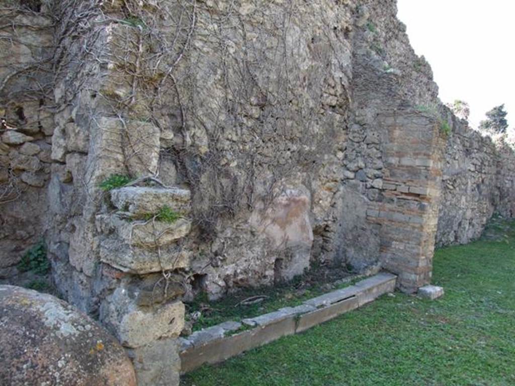 VII.4.56 Pompeii. March 2009. Room 9. Tablinum. West wall.