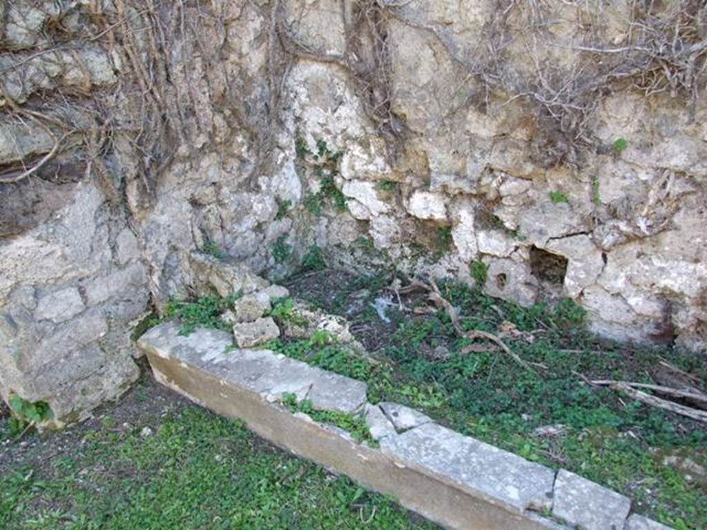 VII.4.56 Pompeii. March 2009. Room 9. Tablinum. South end of West wall.