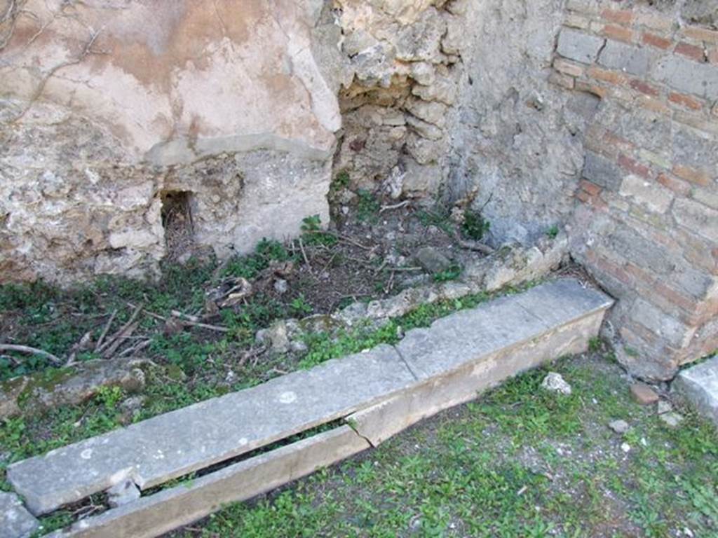 VII.4.56 Pompeii. March 2009. Room 9. Tablinum. North end of West wall.