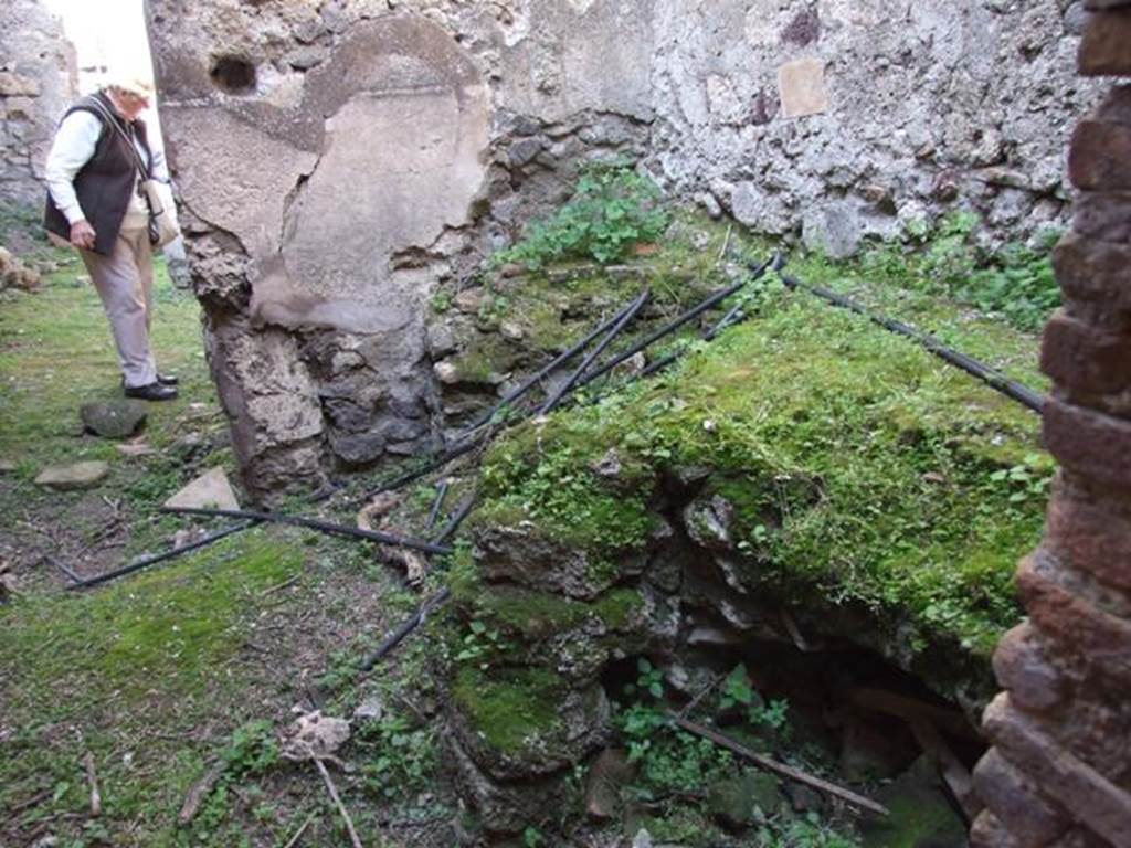 VII.4.56 Pompeii. March 2009. Room 10. Kitchen. Remains of hearth. Looking North.