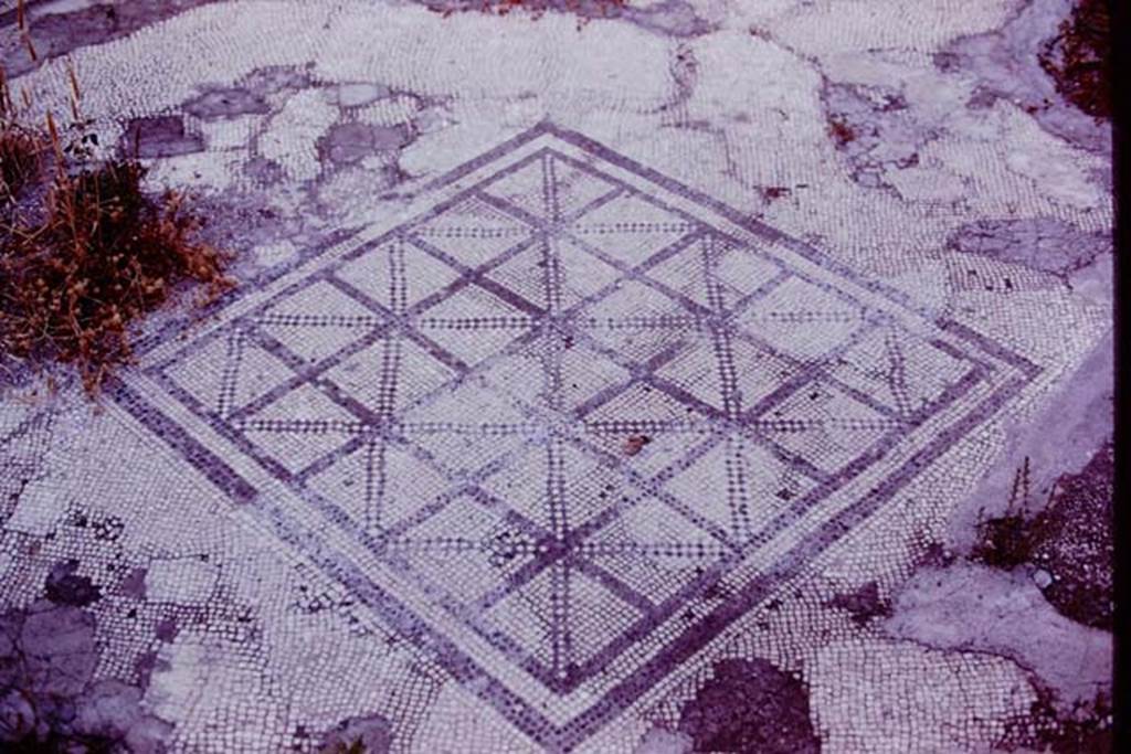 VII.4.59 Pompeii, 1978. Mosaic floor from oecus m. Photo by Stanley A. Jashemski.
Source: The Wilhelmina and Stanley A. Jashemski archive in the University of Maryland Library, Special Collections (See collection page) and made available under the Creative Commons Attribution-Non Commercial License v.4. See Licence and use details. J78f0088