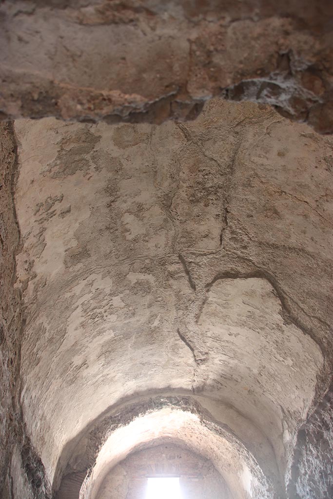VII.5.8 Pompeii. October 2024.
Caldarium (50), looking north along vaulted ceiling. Photo courtesy of Klaus Heese.