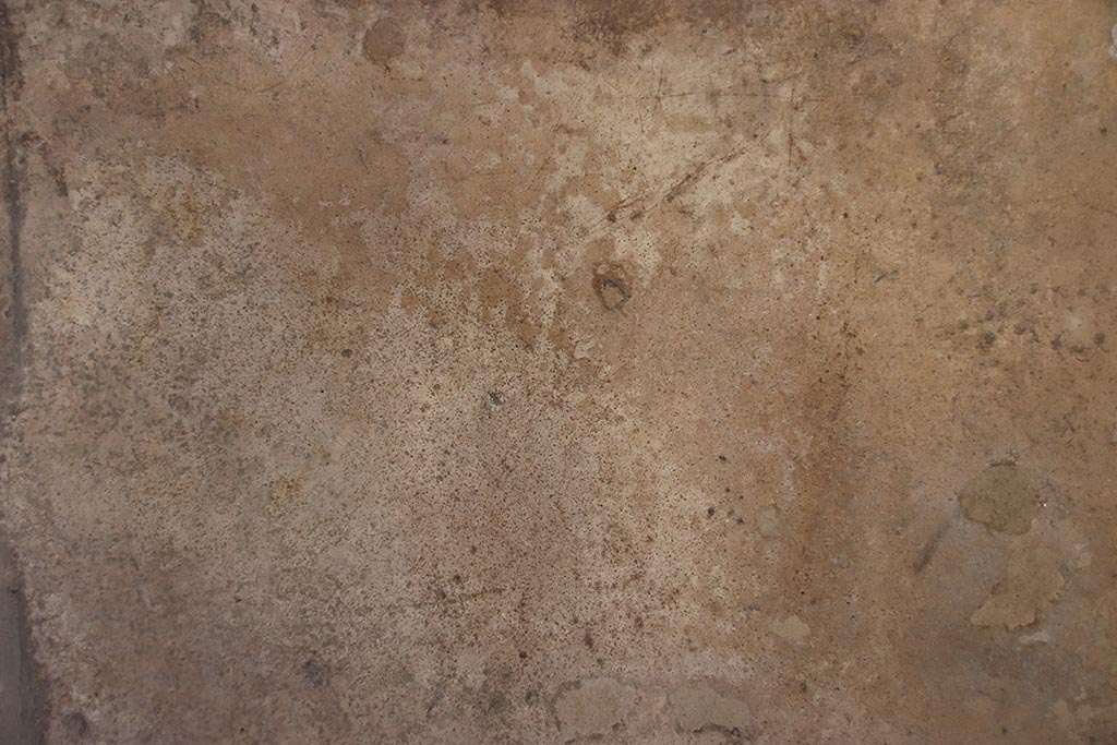 VII.5.8 Pompeii. October 2024. Corridor 45, north wall. Photo courtesy of Klaus Heese.