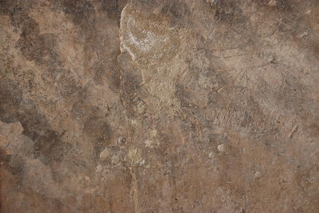 VII.5.8 Pompeii. October 2024. Corridor 45, ship graffiti. Photo courtesy of Klaus Heese.