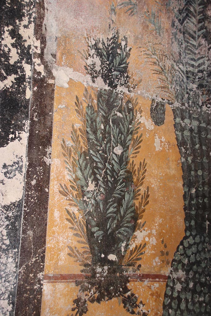 VII.5.8 Pompeii. October 2024.
Frigidarium basin 48, detail from south side of west wall of basin. Photo courtesy of Klaus Heese.