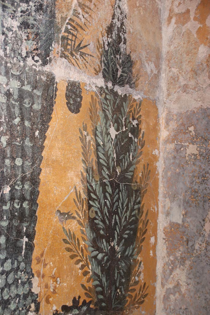 VII.5.8 Pompeii. October 2024.
Frigidarium basin 48, detail from north side of west wall of basin. Photo courtesy of Klaus Heese.