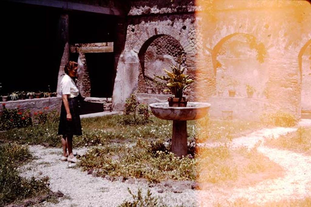 VII.5.24 Pompeii. 1964. Wilhelmina in the courtyard area, looking towards the arched east portico.
Photo by Stanley A. Jashemski.
Source: The Wilhelmina and Stanley A. Jashemski archive in the University of Maryland Library, Special Collections (See collection page) and made available under the Creative Commons Attribution-Non Commercial License v.4. See Licence and use details.
J64f1549