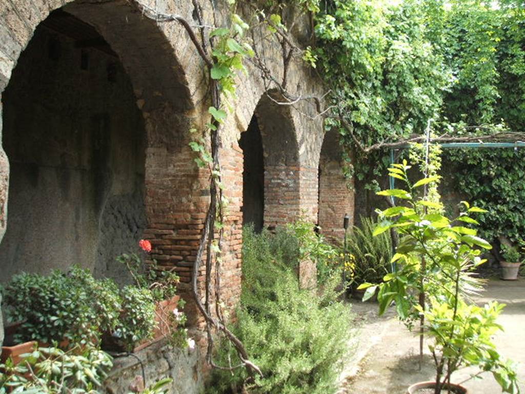 VII.5.24 Pompeii. December 2007. Arches of east portico (7).