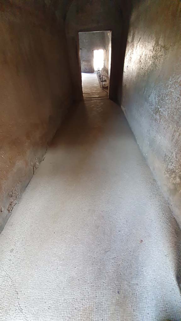 VII.5.24 Pompeii. August 2021. Entrance corridor (13), detail of flooring.
Foto Annette Haug, ERC Grant 681269 DÉCOR.