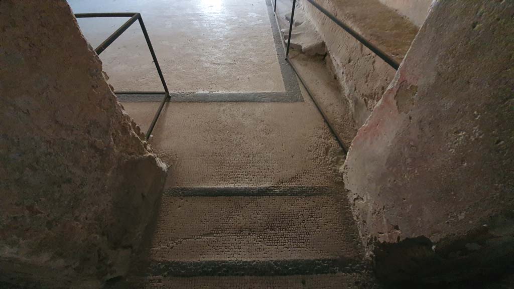 VII.5.24 Pompeii. August 2021.
Entrance corridor (13), doorway threshold, looking north across flooring in apodyterium or changing room (14).
Foto Annette Haug, ERC Grant 681269 DÉCOR.