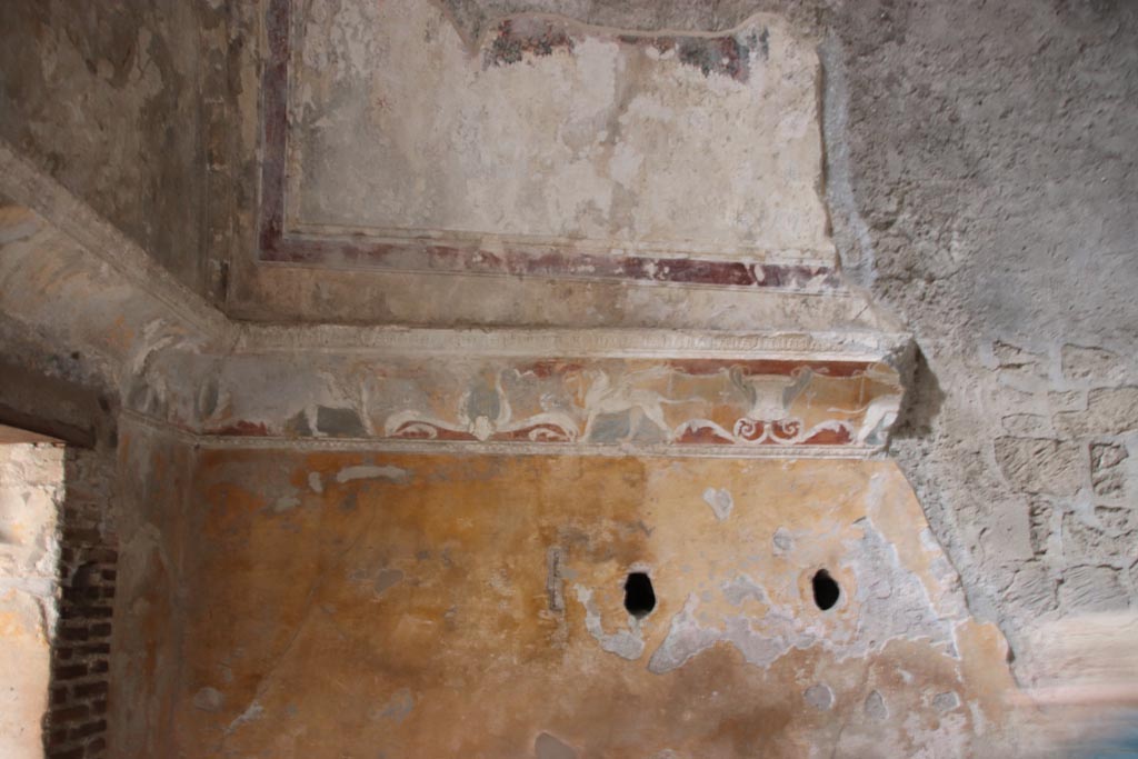 VII.5.24 Pompeii. May 2024.
Apodyterium (14), detail of painted decoration from upper west wall in south-west corner. Photo courtesy of Klaus Heese.