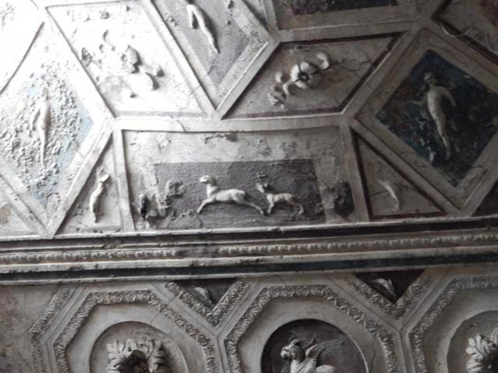 VII.5.24 Pompeii. May 2015. Detail from ceiling plaster stucco in south-west corner of tepidarium (37). Photo courtesy of Buzz Ferebee.