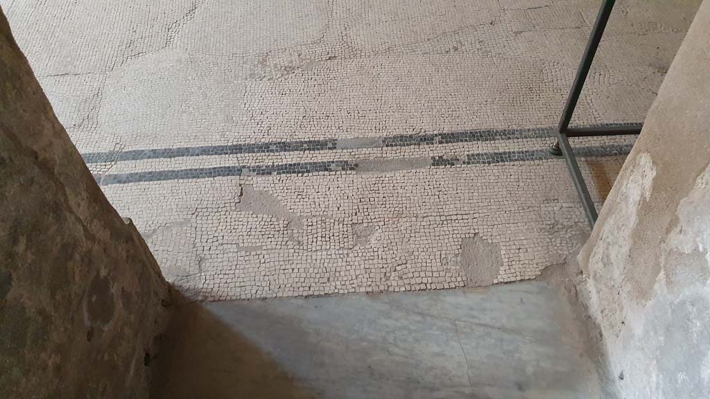 VII.5.24 Pompeii. August 2021. Caldarium (39), flooring in doorway from tepidarium (37).
Foto Annette Haug, ERC Grant 681269 DÉCOR.