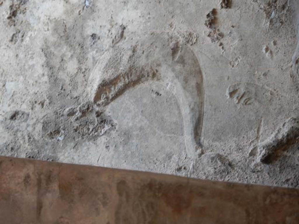 VII.5.24 Pompeii. May 2015. Detail of stucco from window in west wall of Caldarium (39). Photo courtesy of Buzz Ferebee.