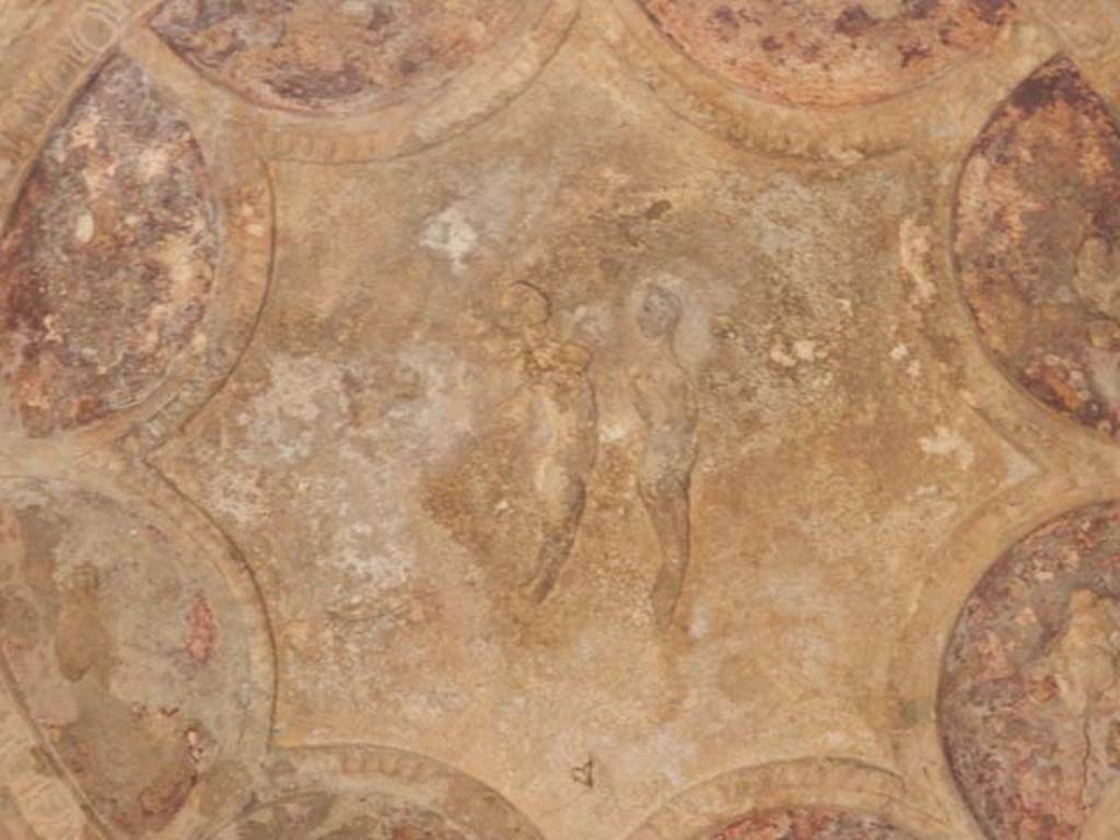 VII.5.24 Pompeii. May 2015. Caldarium (39), detail of stucco in apse. Photo courtesy of Buzz Ferebee.