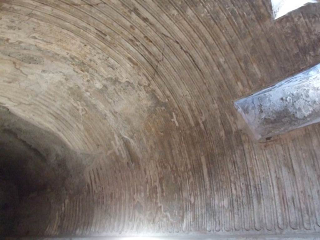 VII.5.24 Pompeii. December 2007. Ceiling stucco in caldarium (39).