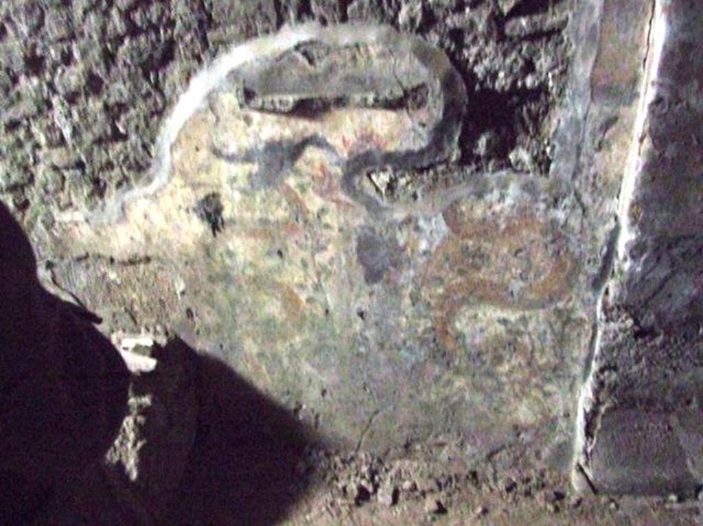 VII.6.3 Pompeii. December 2007. Remains of Lararium wall painting in kitchen g. According to Boyce, this was located on the north wall next to the ruins of a masonry structure, probably the hearth. It was painted on a white background. In the lower zone, two yellow serpents were confronted at a cylindrical altar with offerings, the background adorned with many plants. A tile was embedded in the wall above the painted altar to serve as a projecting shelf for offerings in front of the painted figures in the upper zone. Only faint traces of these figures could be seen at the time of excavation.
See Boyce G. K., 1937. Corpus of the Lararia of Pompeii. Rome: MAAR 14. (p.67, no.287)