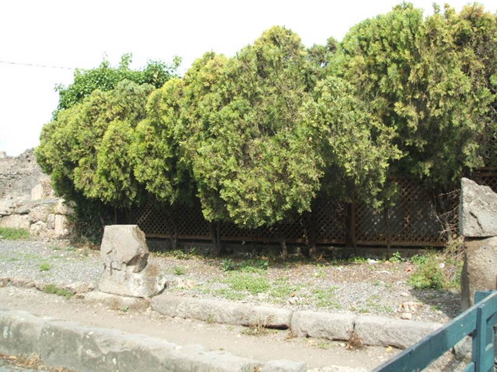 VII.6.24 Pompeii. May 2005. Looking towards entrance. A marble slab with a Sepulchral inscription was found on 15th July 1872 in this area. It was splintered into small parts, but read �
Traebia Fortunata
vixit annis XXIX    [CIL X 1078]
This was numbered 54 on display in the Pompeii Antiquarium, prior to its own bombing in 1943. It was also in Fiorelli�s guide of 1877. (Guida di Pompei, p.90-91)

