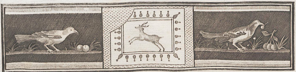 VII.6.28 Pompeii. Found on 30th April 1762. Painting of blackbird left with two cherries and blackbird right with cherry in the beak, branch and three cherries.
Now in Naples Archaeological Museum. Inventory number 8746.
See Antichit� di Ercolano: Tomo Quarto: Le Pitture 4, 1765, 20, 95.
