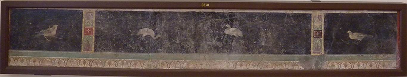VII.6.28 Pompeii.  Found 24th April 1762 in cubiculum 8.  
Wall painting with four birds with a bush and bordered by geometric motifs.
See Pagano, M., and Prisciandaro, R., 2006. Studio sulle provenienze degli oggetti rinvenuti negli scavi borbonici del regno di Napoli. Naples: Nicola Longobardi.  (p.41).
Now in Naples Archaeological Museum. Inventory number 9870.

