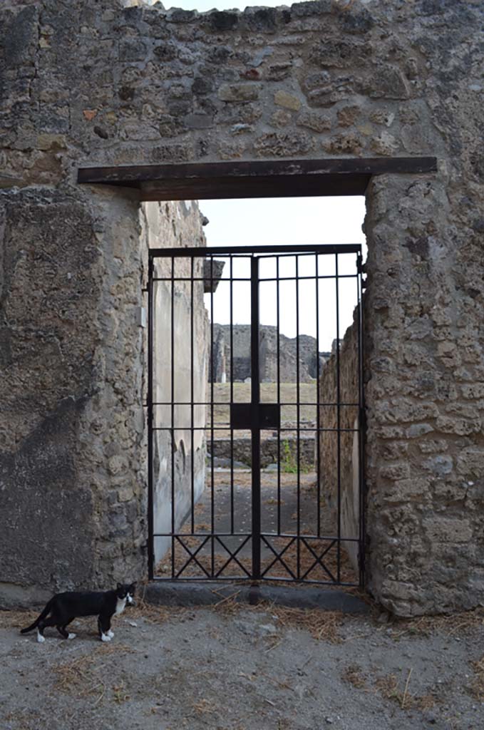 VII.6.38 Pompeii. September 2019. Looking east towards entrance doorway.
Foto Annette Haug, ERC Grant 681269 DÉCOR.
