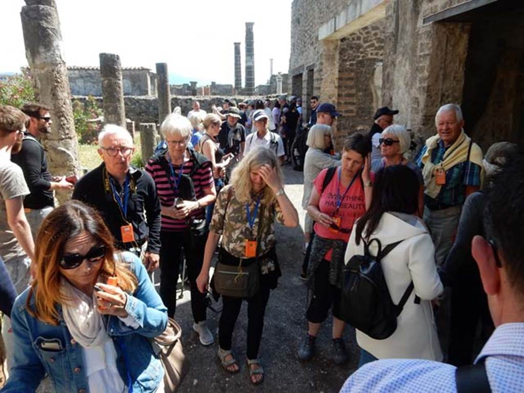 VII.7.2/5 Pompeii, May 2018.
Looking east along crowded south portico “m”, with just some of the three million tourists a year. Photo courtesy of Buzz Ferebee.
Oecus “n” and corridor “l” (L) are the two doorways at the east end of south portico “m”.
Oecus “n” and oecus “q” are the two doorways at the east end of south portico “m”.