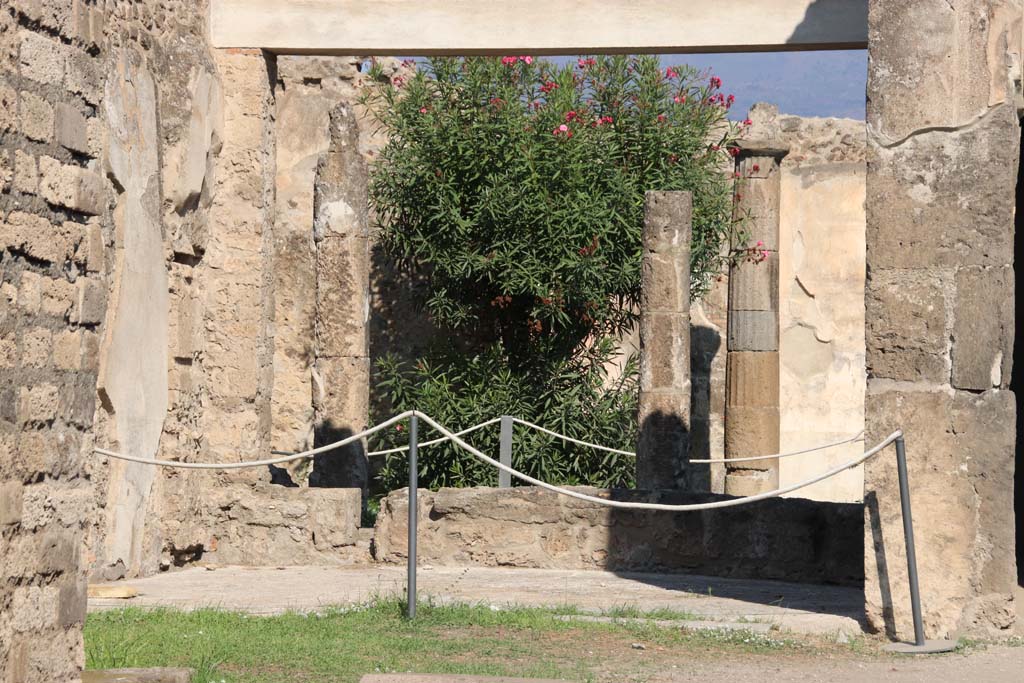 VII.7.2 Pompeii, September 2017.
Looking north across tablinum “k” towards peristyle/garden “x” at rear. Photo courtesy of Klaus Heese.