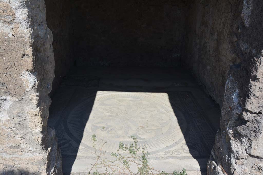 VII.7.5 Pompeii. September 2019. Mosaic floor in cubiculum (x).
Foto Annette Haug, ERC Grant 681269 DÉCOR.