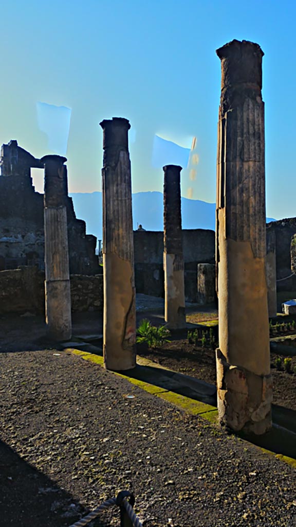VII.7.5 Pompeii. December 2019.
Looking south-west across peristyle/garden from east portico.
Photo courtesy of Giuseppe Ciaramella.