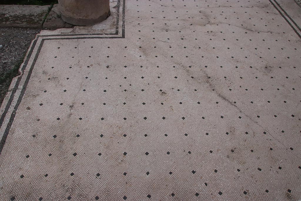 VII.7.5 Pompeii. October 2024. Mosaic floor on north portico, looking west. Photo courtesy of Klaus Heese.