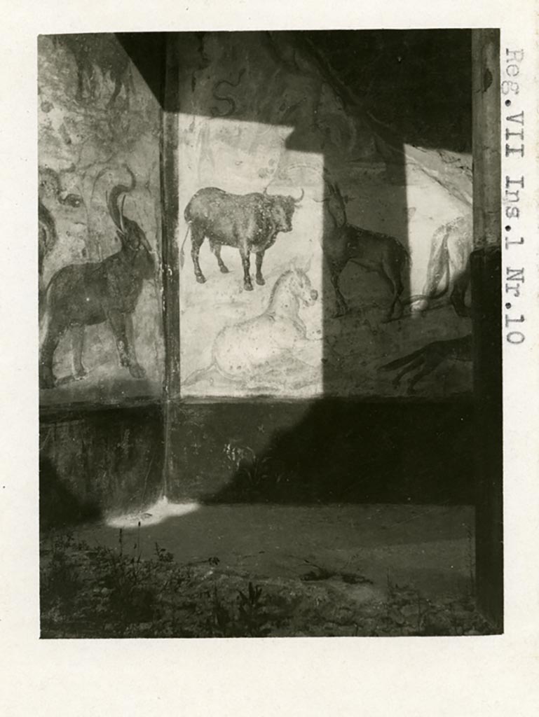 VII.7.10 Pompeii but shown as VII.1.10 on photo. Pre-1937-39. North-west corner of peristyle.
Photo courtesy of American Academy in Rome, Photographic Archive. Warsher collection no. 1820.