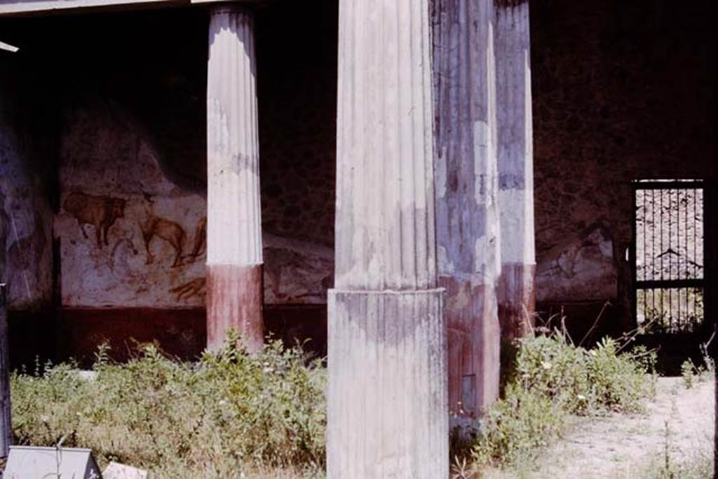 VII.7.10 Pompeii. 1964. Looking towards north wall of peristyle, with animal painting. Photo by Stanley A. Jashemski.
Source: The Wilhelmina and Stanley A. Jashemski archive in the University of Maryland Library, Special Collections (See collection page) and made available under the Creative Commons Attribution-Non Commercial License v.4. See Licence and use details.
J64f0897