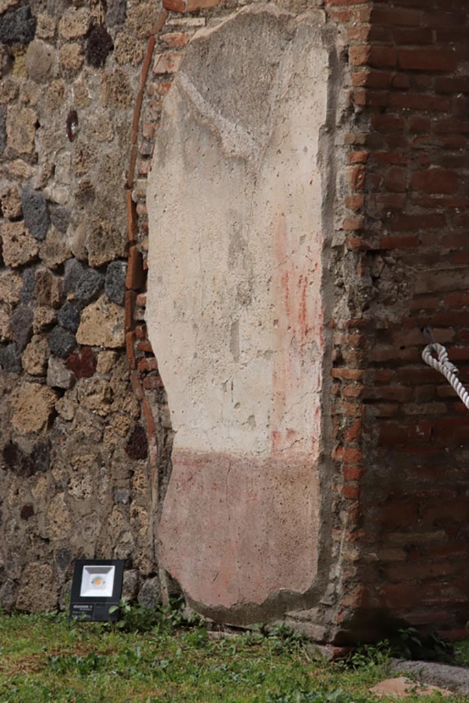 VII.7.13 Pompeii. May 2024.
Remaining painted stucco on west wall of peristyle, south side of doorway to kitchen.
Photo courtesy of Klaus Heese.