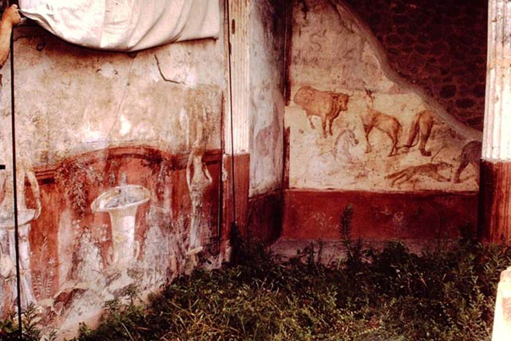 VII.7.10/13 Pompeii. 1964. West and north wall of peristyle. Photo by Stanley A. Jashemski.
Source: The Wilhelmina and Stanley A. Jashemski archive in the University of Maryland Library, Special Collections (See collection page) and made available under the Creative Commons Attribution-Non Commercial License v.4. See Licence and use details.
J64f1943