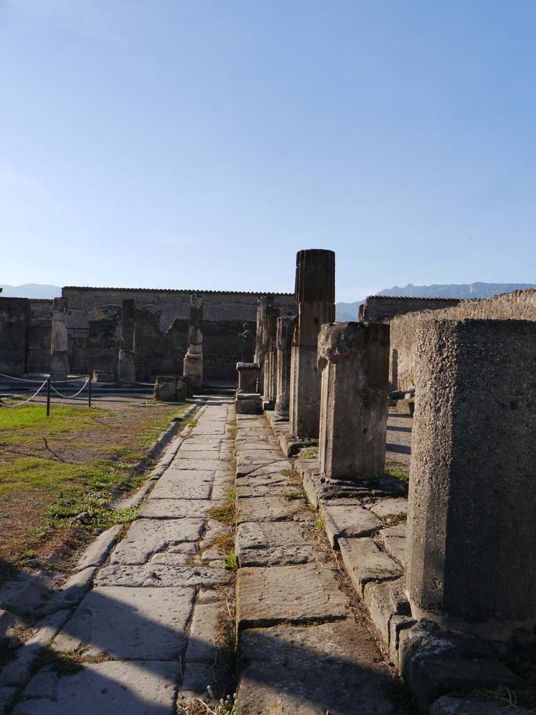 VII.7.32, Pompeii. September 2018. Looking south from west side.
Foto Anne Kleineberg, ERC Grant 681269 DÉCOR.