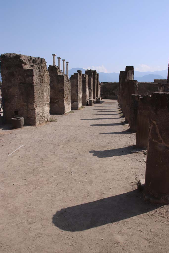 VII.7.32 Pompeii. September 2019. Looking south from north-east corner of colonnade.
Photo courtesy of Klaus Heese.
