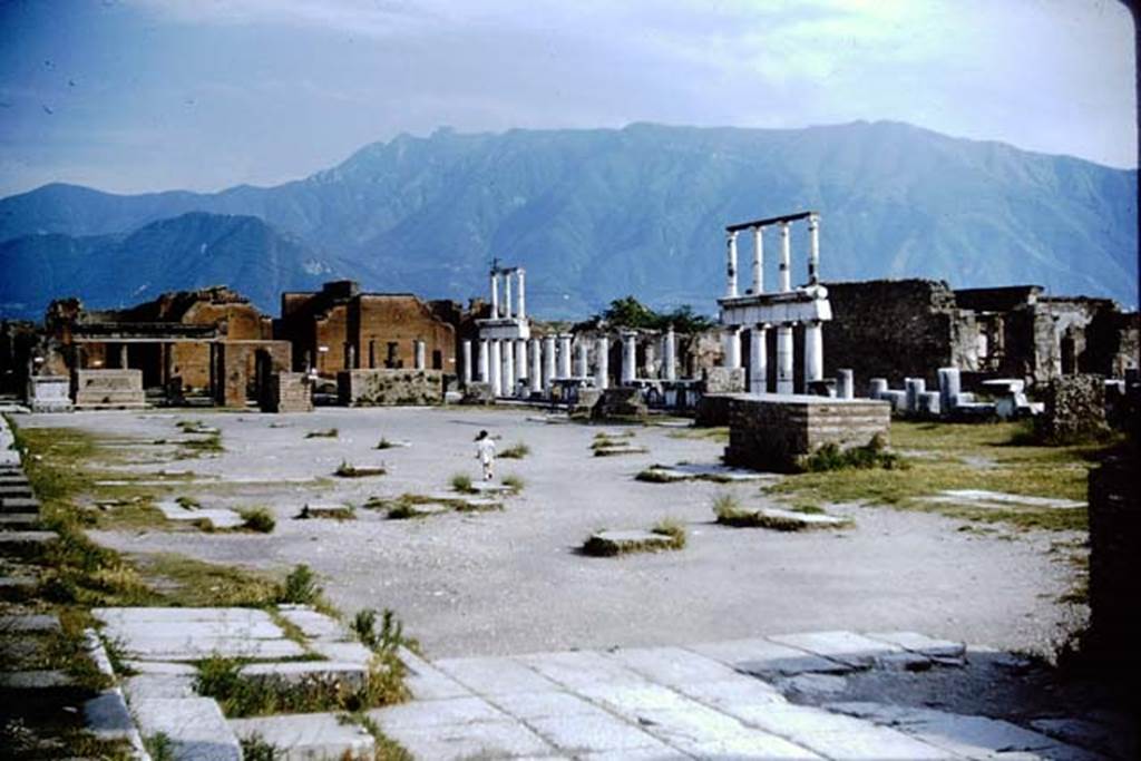 VII.8, Pompeii. 1964. Looking south-west from east side. Photo by Stanley A. Jashemski.
Source: The Wilhelmina and Stanley A. Jashemski archive in the University of Maryland Library, Special Collections (See collection page) and made available under the Creative Commons Attribution-Non Commercial License v.4. See Licence and use details. J64f1322