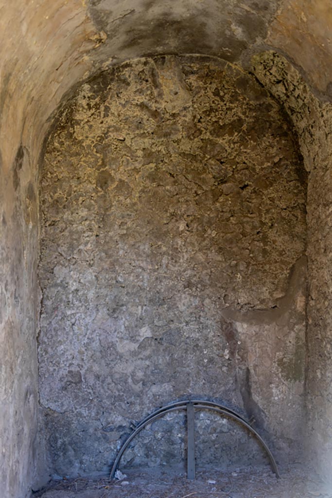 VII.8.1 Pompeii. October 2023.
North wall of room at west end of north wall. Photo courtesy of Johannes Eber.
