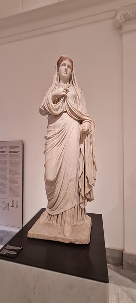 VII.9.1 Pompeii. April 2023. White marble statue of Eumachia.
On display in “Campania Romana” gallery in Naples Archaeological Museum, inv. 6232.
Photo courtesy of Giuseppe Ciaramella.